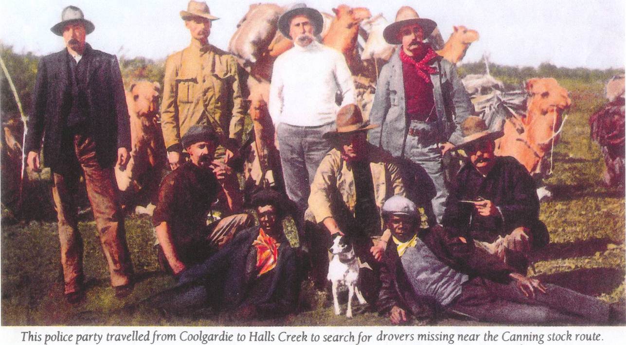 Information On The Tenterfield Terrier